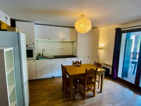 Appartement rénové face aux pistes avec grande terrasse sud – Accès direct et toutes commodités ! - FR-1-445-142